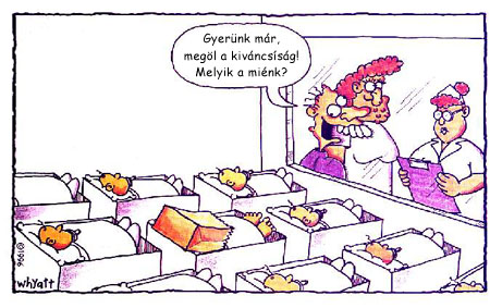 A szülészeten